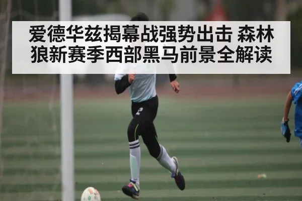 爱德华兹揭幕战强势出击 森林狼新赛季西部黑马前景全解读